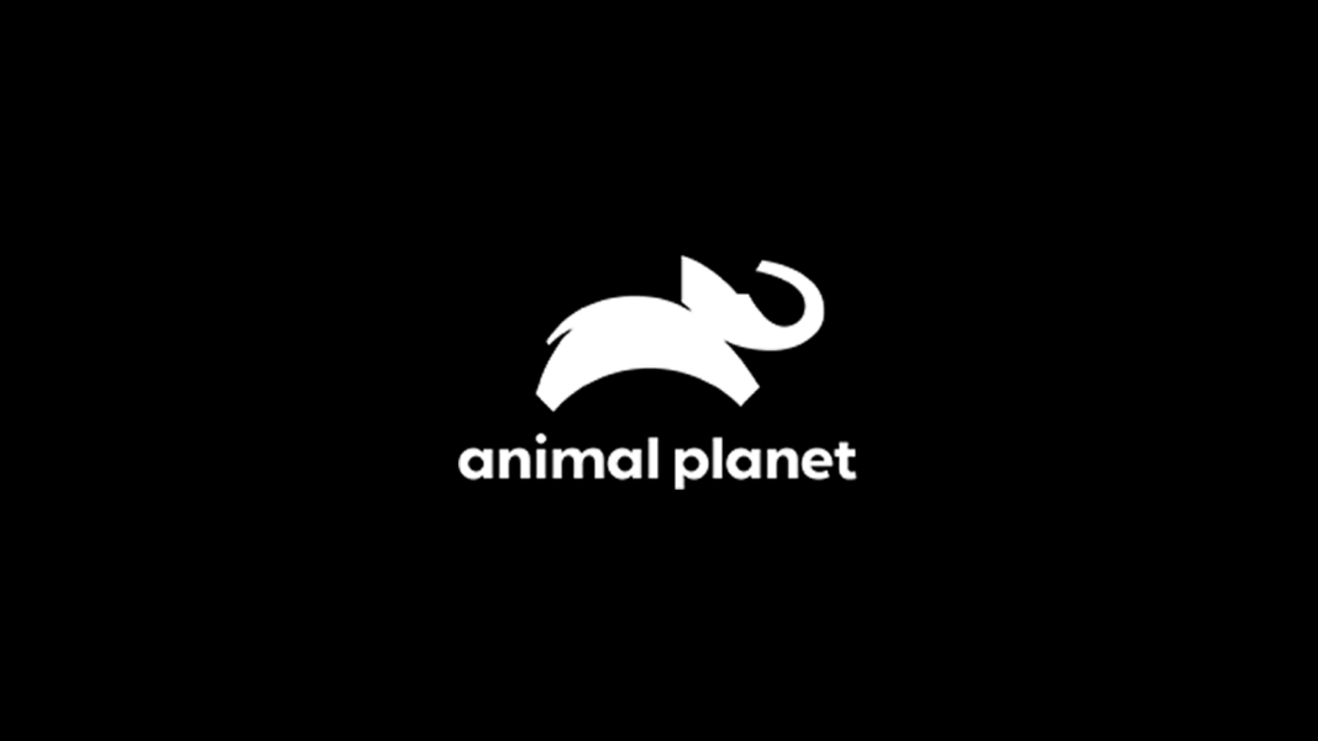 Animal Planet ao vivo,Animal Planet online,assistir Animal Planet,assistir Animal Planet ao vivo,assistir Animal Planet online,Animal Planet gratis,assistir Animal Planet gratis,ao vivo online,ao vivo gratis,ver Animal Planet,ver Animal Planet ao vivo,ver Animal Planet online,24 horas,24h,multicanais,piratetv,futtemax.vip